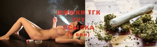 ешки Бородино