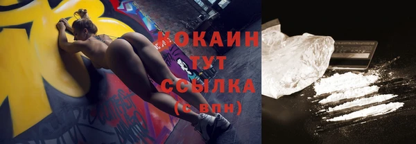 индика Верея