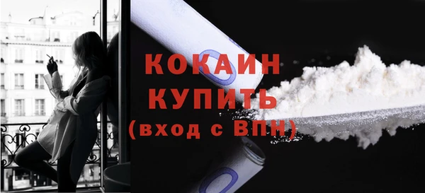 гашик Семилуки