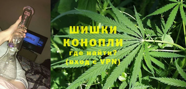 индика Верея