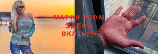 ешки Бородино