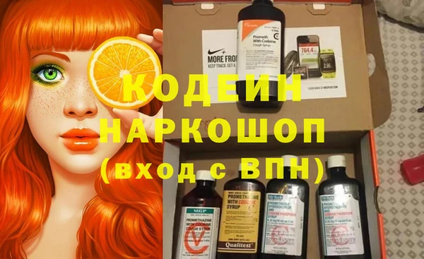 индика Верея