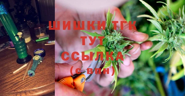 ешки Бородино