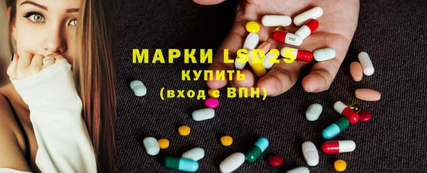 гашик Семилуки