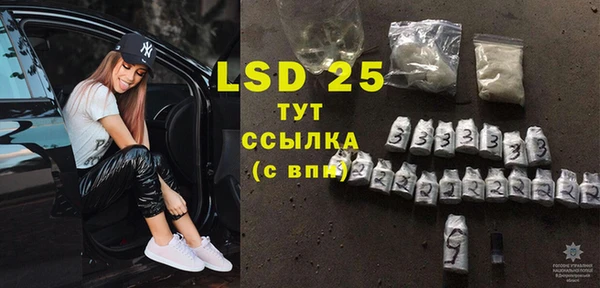 индика Верея