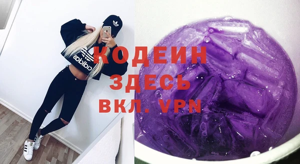 индика Верея