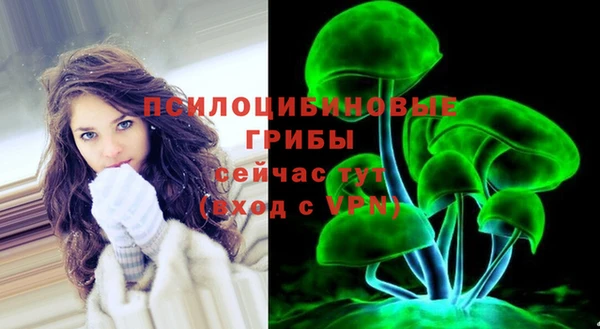 герыч Верхний Тагил