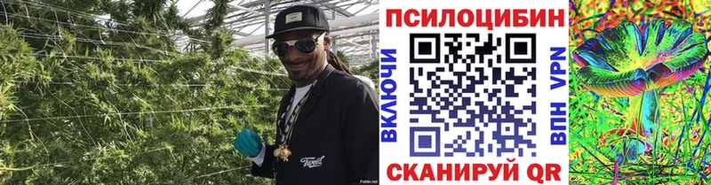 Псилоцибиновые грибы MAGIC MUSHROOMS  Чебоксары 